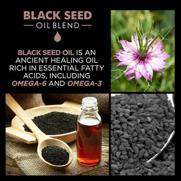 CHI Luxury Black Seed Oil Gentle Cleansing Shampoo 355ml