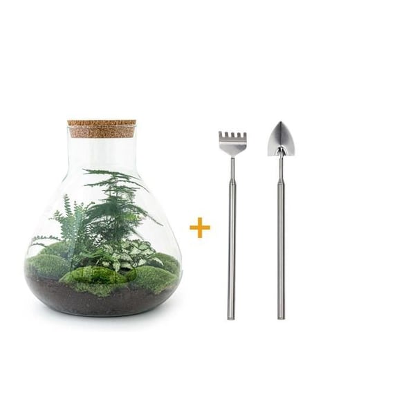 Flaskträdgård "Sam xl" - Terrarium för växter DIY - 35cm - räfsa och spade ingår