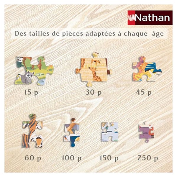 Disney 100 palanappaa - NATHAN - Suuri perhe - Animaatiot ja sarjakuvat - 36x26 cm