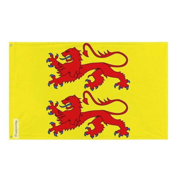 Flagga Hautes-Pyrénées – 160 x 240 cm – Motståndskraftig Polyester – 2 Metal Ögglor – Inomhus / Utomhus – Pixelforma