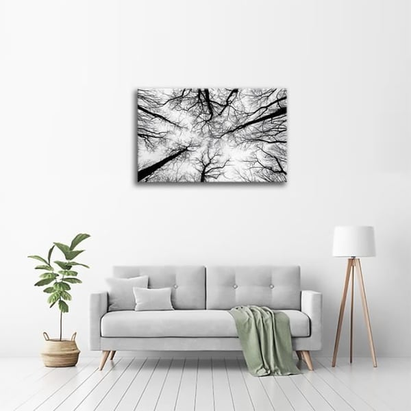 Legendarte - Målning, Tryck på duk - Avskalade grenar cm. 60x90
