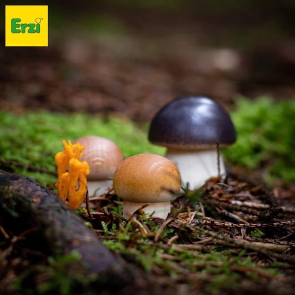 Erzi - Bolete
