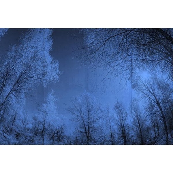 Tapet skog M1-No.60139 digitaltryck blå svart natur svart och vit