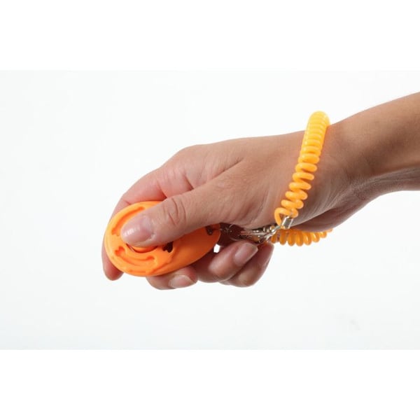 Dressyr Clicker med handled för hund. - zolux