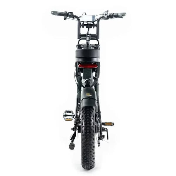 QMWHEEL V20 Pro Fatbike Elektrisk – Inbyggt alarmsystem – 20 tum – Motor 250W – 7 växlar – Räckvidd 60 km – Svart
