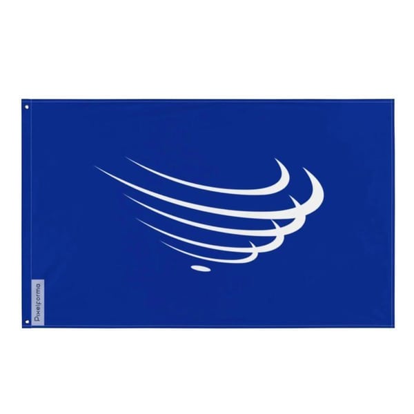 Sydamerikanska nationernas unionsflagga – 64 x 96 cm – Polyester – Järnöglor – Hållbar
