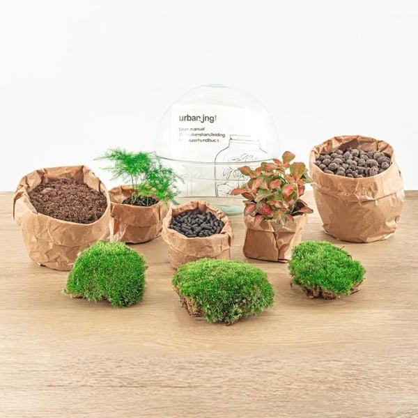 F?aša trädgård Glaskula DIY terrarium för växter 20 cm inklusive räfsa, spade, pincett och sax