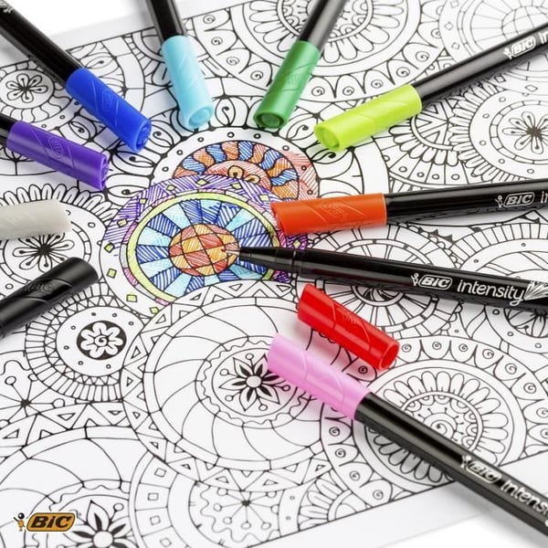 BIC Intensity Stylos Feutres Pointe Fin (0,8 mm) - Färger i Assortiment, Förpackning med 10