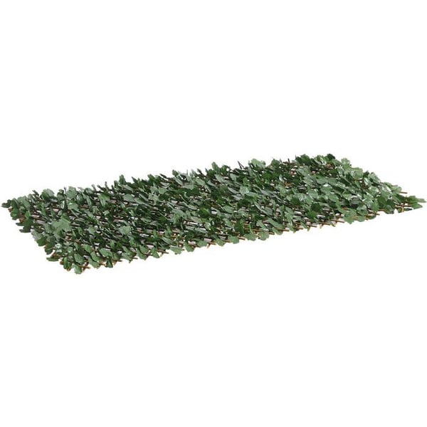 Set med 6 st stängsel i harv bambu "Fragon" - 200 x 100 cm - Grön
