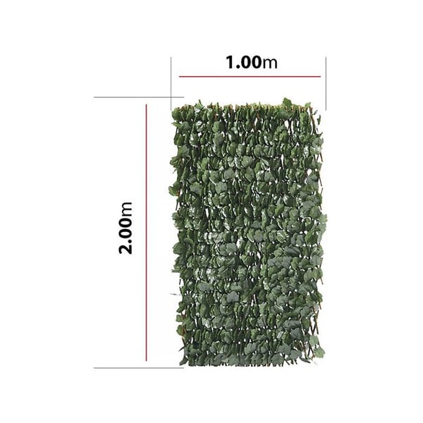 Set med 6 st stängsel i harv bambu "Fragon" - 200 x 100 cm - Grön