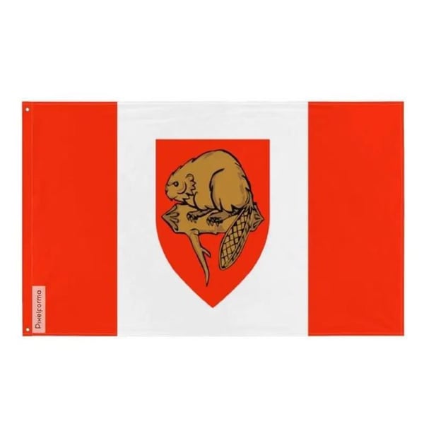 Brantford-flagga – 160 x 240 cm – Hållbar Polyester – 2 Metallöglor – Inomhus / Utomhus – Pixelforma