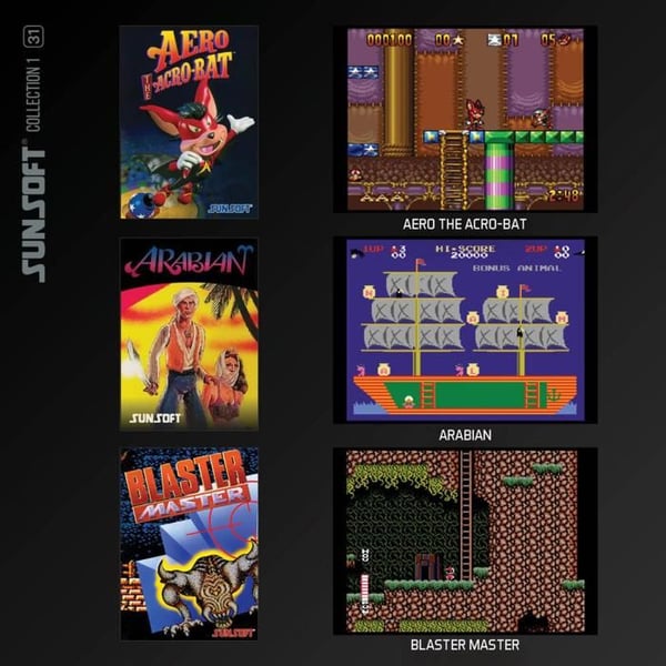 Blaze Evercade Sunsoft Collection Red Cart 31-konsol-RETROGAMING