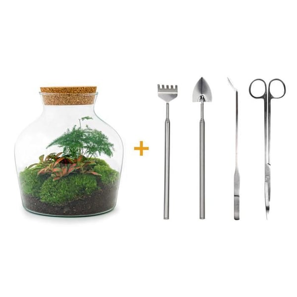 Flaskträdgård "Little Joe" - Terrarium för DIY växter - 21,5 cm - räfsa, spade, pincett och sax ingår