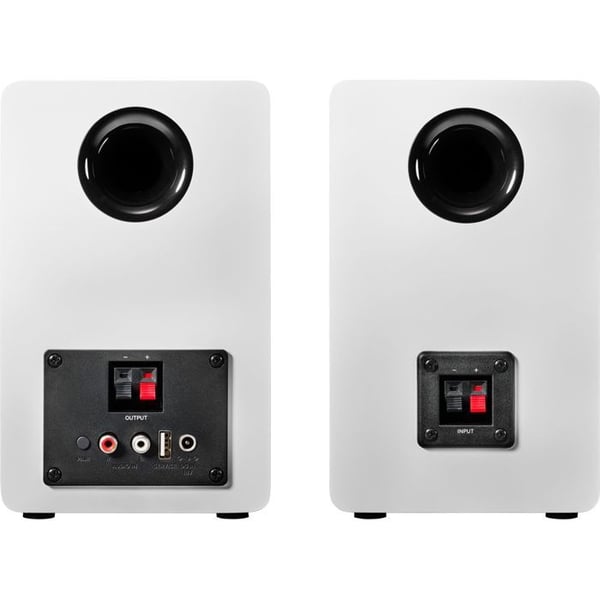 Trådløse højttalere - AUDIO-TECHNICA - AT-SP3X - Bluetooth 5.3 - Forstærker 30 W - RCA