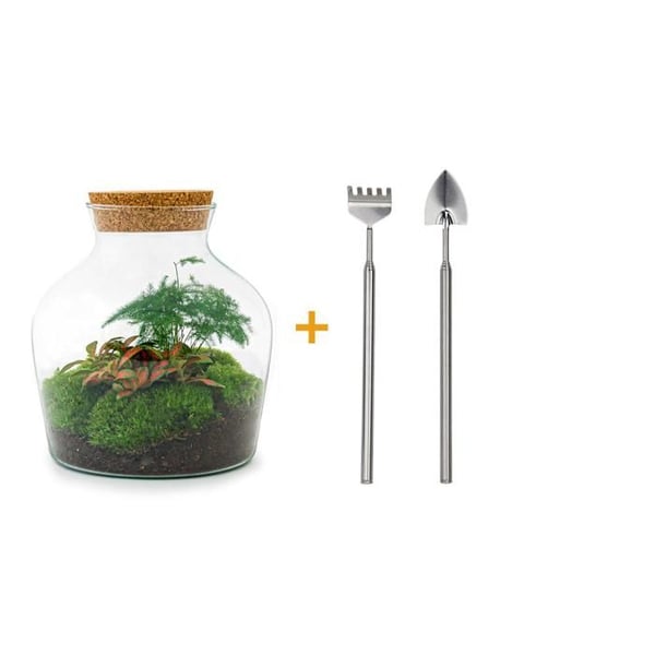 Flaschengarten "Little Joe" - DIY-växtterrarium - 21,5 cm - inkl. räfsa och spade