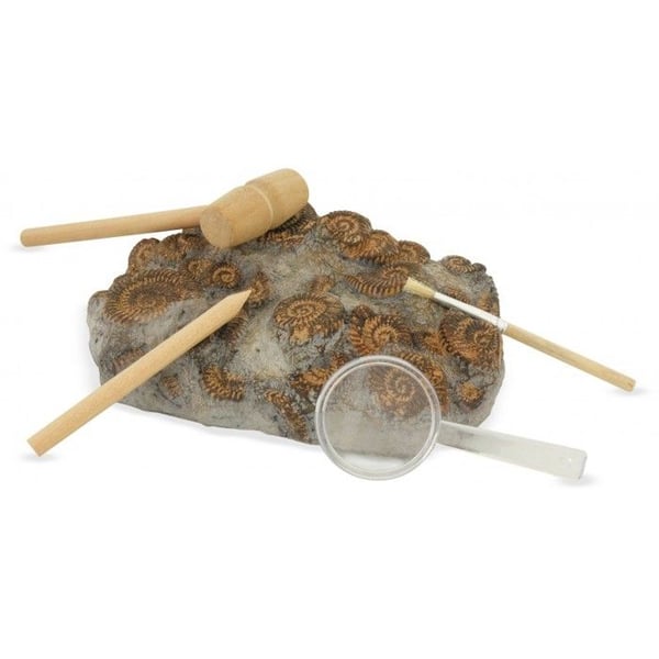 Kit Paleo: Läpi Aikojen