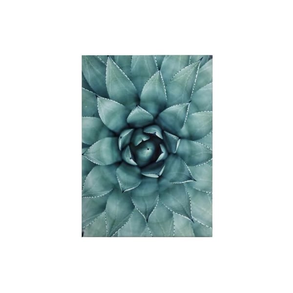 Canvastavla - Tadessi - Blommor - M1-No.50361 - Blommor - Grön - Canvas på ram - Natur - 50 x 70 cm