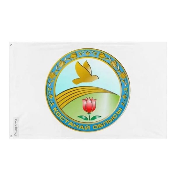 Kostanaï Oblys Flagga – 192 x 288 cm – Hållbar Polyester – 2 Metallöglor – Inomhus / Utomhus – Pixelforma