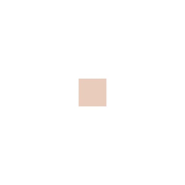 Essence - Foundation Stick - 100 -