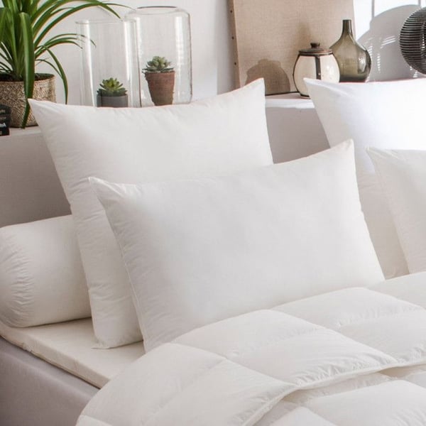 Set med 2 Maxiconfort Thermolite ultra "DODO" kuddar - 50 x 70 cm