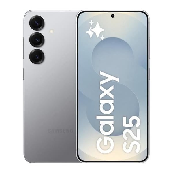 SAMSUNG Galaxy S25 AI Smartphone 256 Go Grå