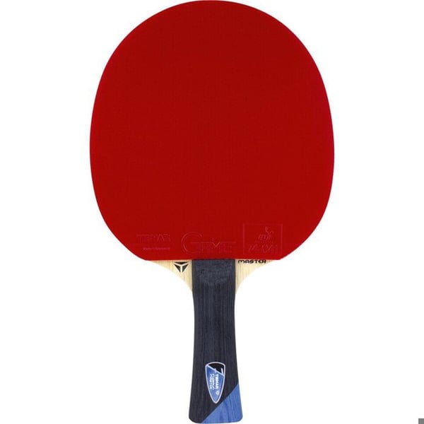 Bordtennisracket - TIBHAR - Master Felix Lebrun - ITTF-godkänd - 5-lagers trä - Beläggningar 2,0 mm