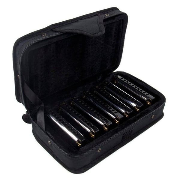 Hohner Bleus Band Definiera