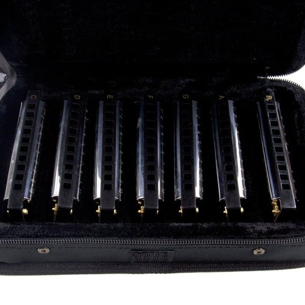 Hohner Bleus Band Definiera