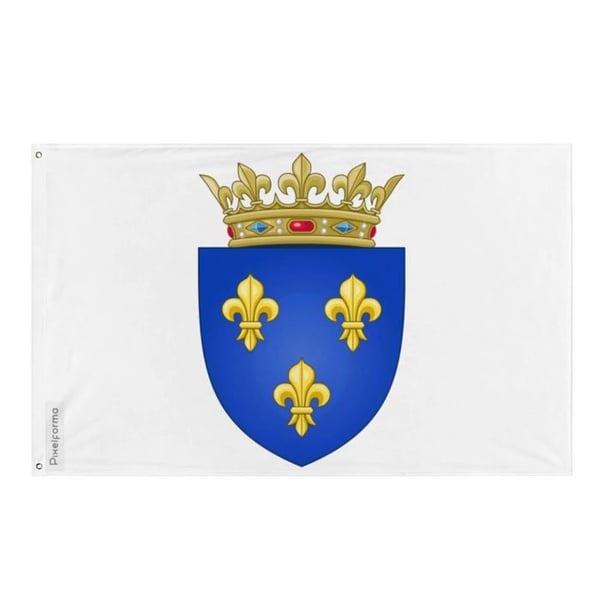 Flagga Kungarna av Frankrike efter 1376 – 64 x 96 cm – Polyester – Metallöglor – Motståndskraftig