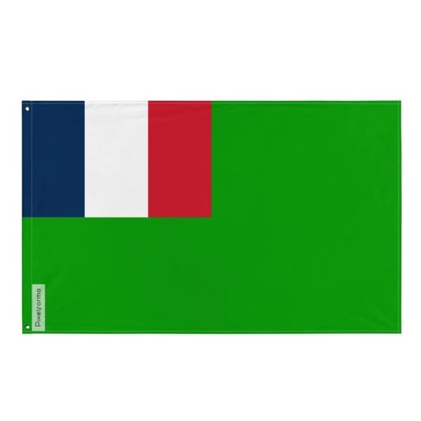 Flagga för den första självständiga republiken Guyana – 96 x 144 cm – Polyester – Metallöglor – Hållbar