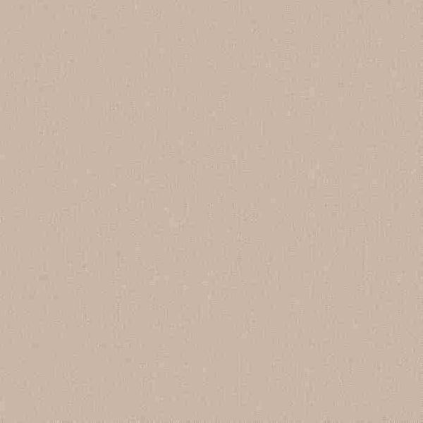 vinyl expanderad 10072-02 enfälld tapet enhetlig 0,53 x 10,05 m Erismann Bestseller Beige