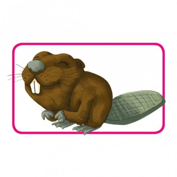 Concept Kids: Animals - Asmodee - Brädspel