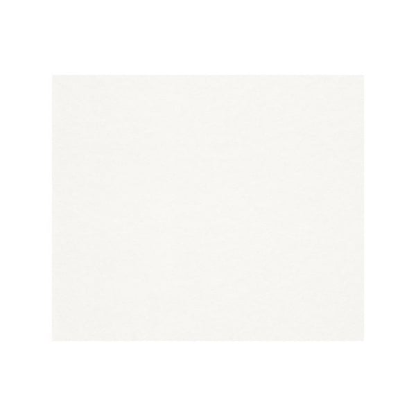 non-woven tapet 658408 non-woven enfärgad 75 x 2500 cm Rasch vit underlag