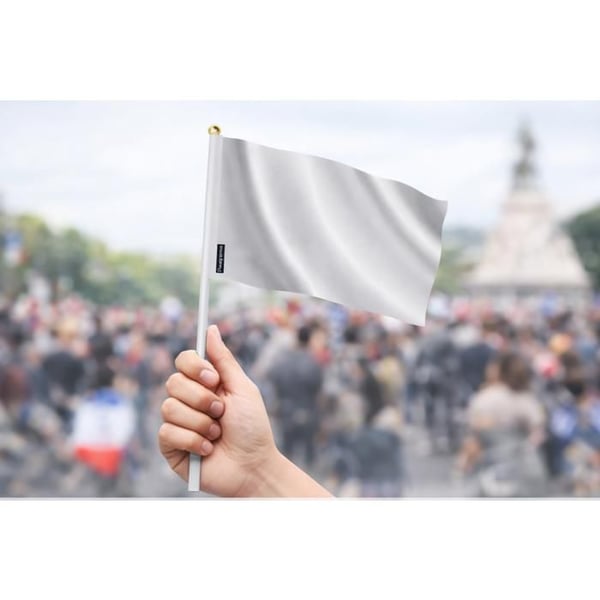 Mini Malawiflagga – 14 x 21 cm – Att Hålla i Handen – Polyester – 1 styck – Pixelforma