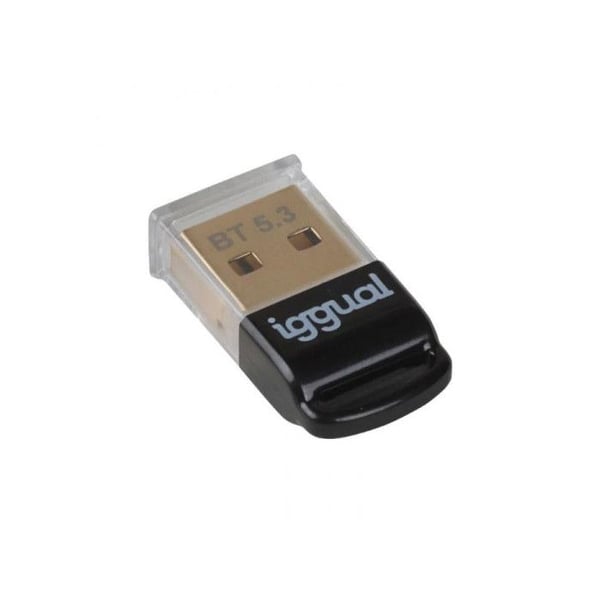 Bluetooth USB-adapter - IGGUAL - IGG319383 - Bluetooth 5.3 - USB 2.0 - Plug & Play