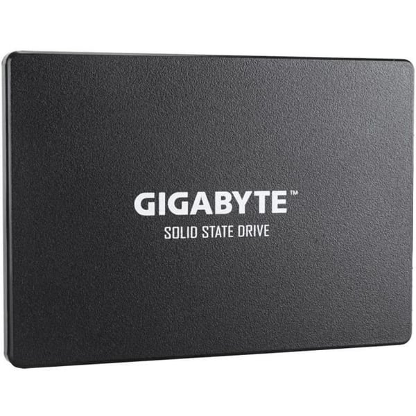 GIGABYTE Intern Solid State Drive - UD Pro - 1TB - SATA (GP-GSTFS31100TNTD)