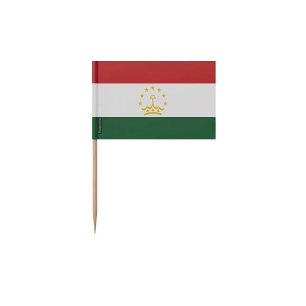 Tandpetare Tadzjikistan - 8 cm - 100 stycken - Plastremsor - Bambusticka - Pixelforma