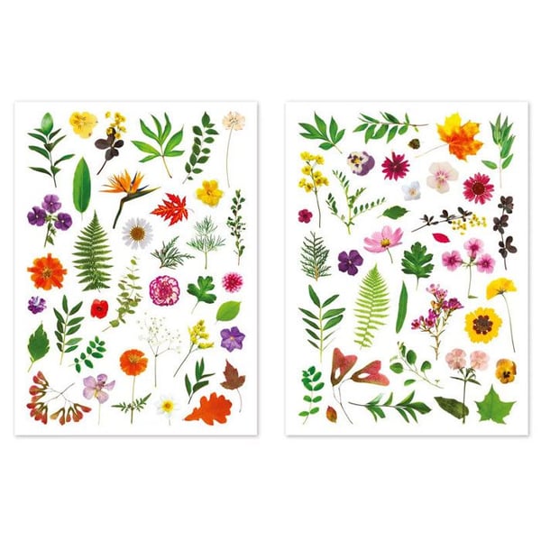 Gommapunkter - CTOP - Herbarium - 73 stycken - 1,2 till 6 cm - Flerfärgade