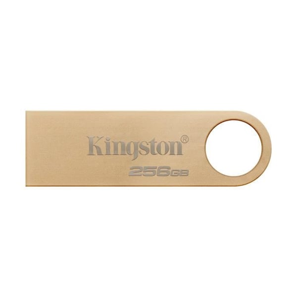 USB-sticka - KINGSTON - DataTraveler - 256 Go - USB 3.2 - Hastighet 220 Mo/s