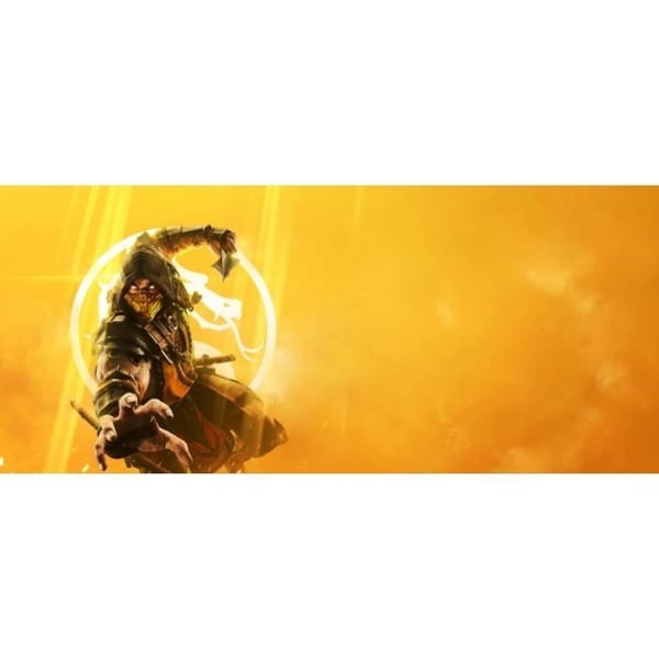 TV-spel - MORTAL KOMBAT - Mortal Kombat 11 - PS4 - Standard Edition - 2018 - Avancerad anpassning