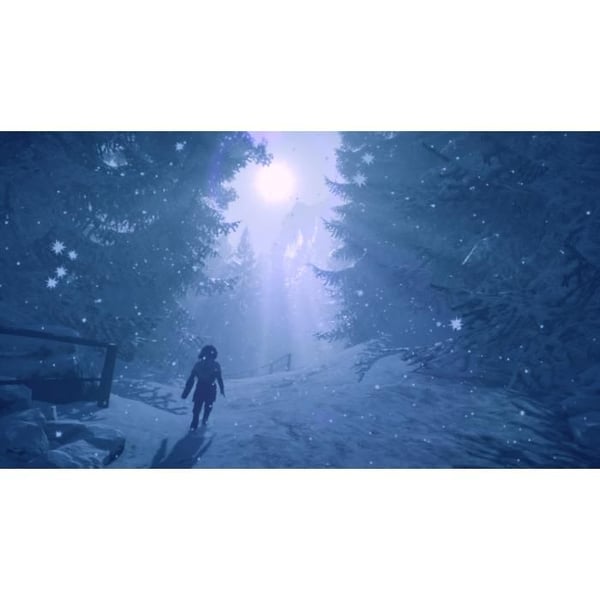 Skabma: Snowfall Nintendo Switch