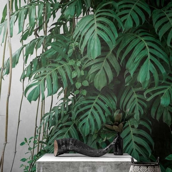 Jungle Photo Wallpaper M1-No.10273 - Tadessi - Digitaltryck - Grön - Grå - Palmer - Botanisk Jungle Photo Wallpaper M1-No.10273 - Tadessi - Digitaltryck - Grön - Grå - Palmer - Botanisk