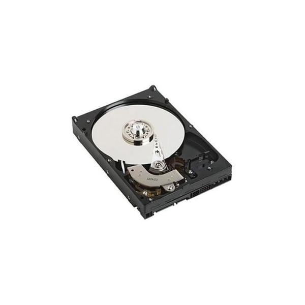 DELL 1TB SATA 7200rpm 3,5" 1000 GB Serial ATA II