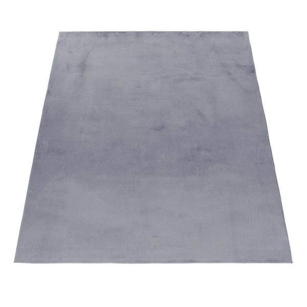 Långhårig matta - AYYILDIZ - Matta för vardagsrum - Grå - 80 x 150 cm - Baksida i bomull