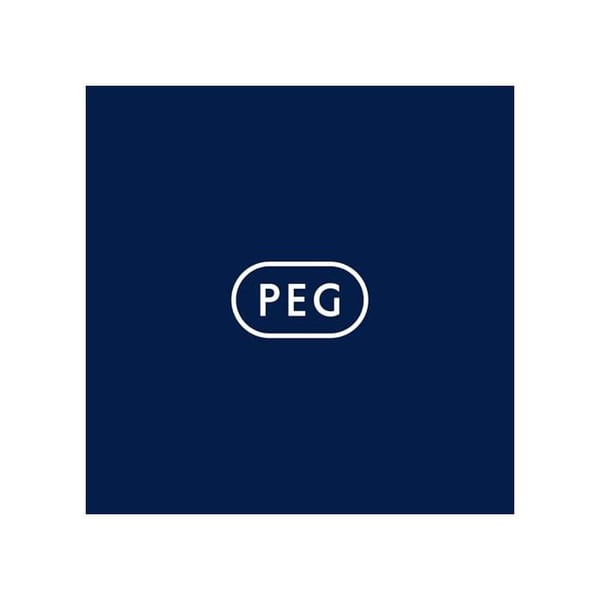 Batteri 12V-12Ah - PEG PEREGO - Tilbehør til børnebil - Unisex