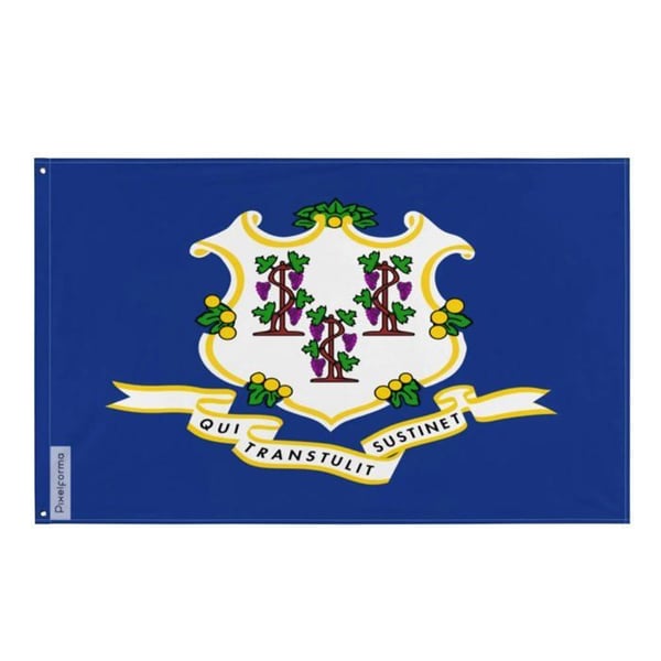 Connecticuts flagga – 90 x 150 cm – Hållbar polyester – 2 metallöglor – Inomhus / Utomhus – Pixelforma