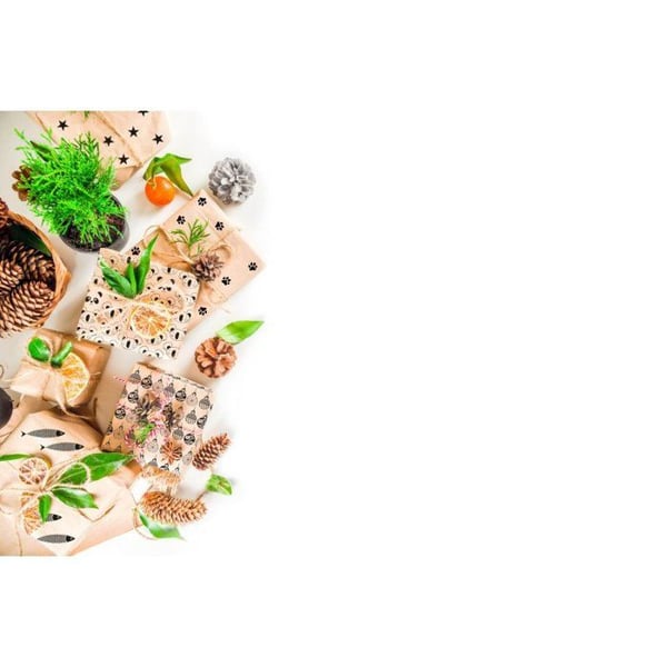 Graine Créative - Trästämpel Koala