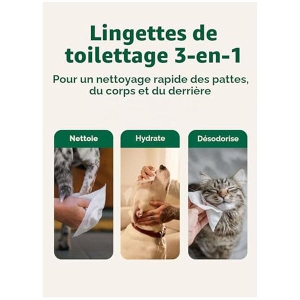NC Lingetter Earth Rated 100 Enheter