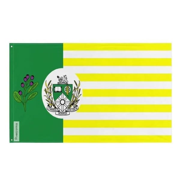 Saskatoon Flagga – 60 x 90 cm – Hållbar Polyester – 2 Metall Öljett – Inomhus / Utomhus – Pixelforma
