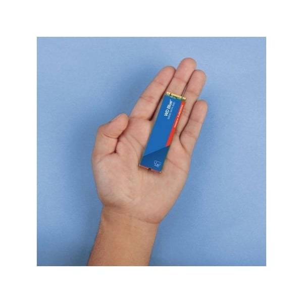 SSD - WD - Blue SA510 - 2 To - M.2 - SATA - 560 Mo/s